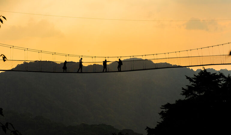 3 Days Nyungwe National Park Safari Adventures.